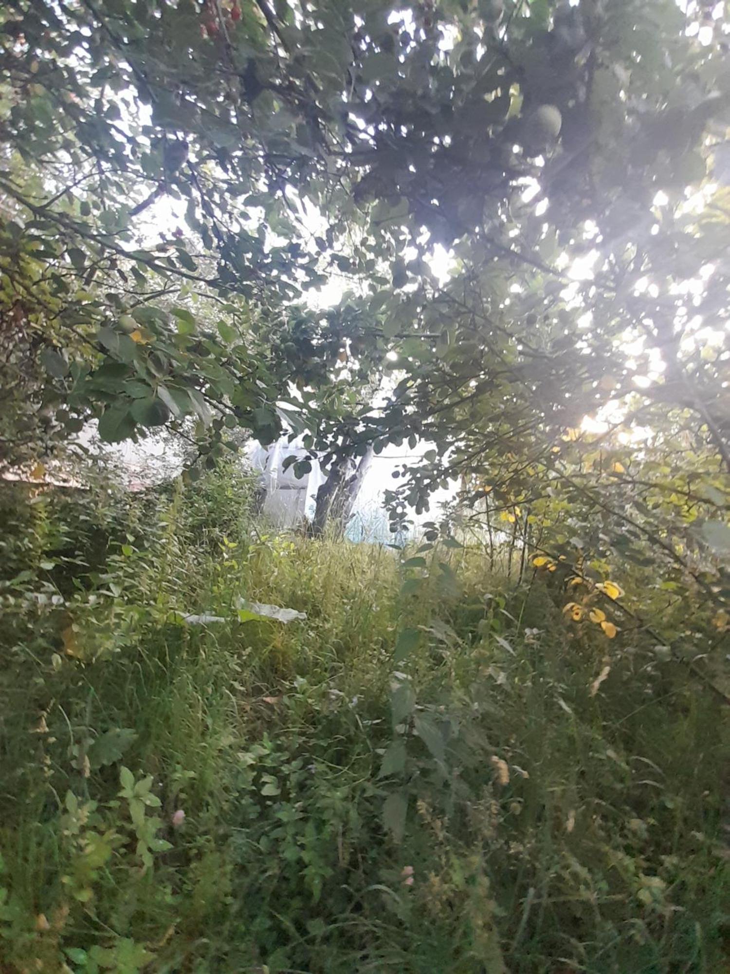 Waterfall In The Yard Karakol Buitenkant foto